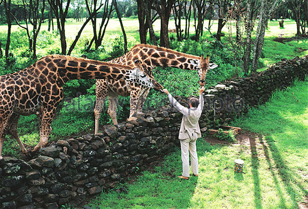 Công viên Taman Safari