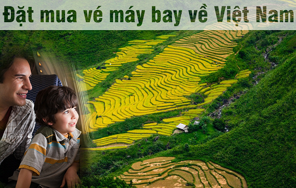 Đặt mua vé máy bay về Việt Nam