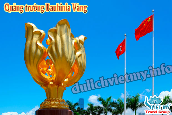 Quang truong Bauhinia Vàng