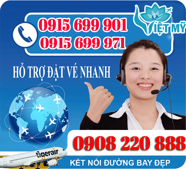 hotline Việt Mỹ 1