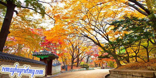 Mùa thu tại Hàn Quốc