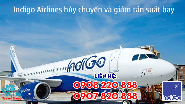 Indigo Airlines hủy chuyến và giảm tần suất bay