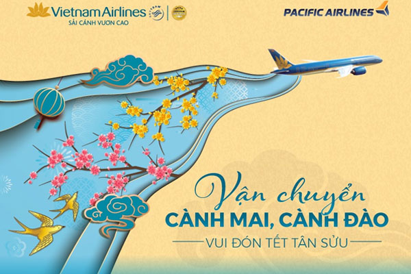 VNA và Pacific Airlines vận chuyển mai đào Tết 2021