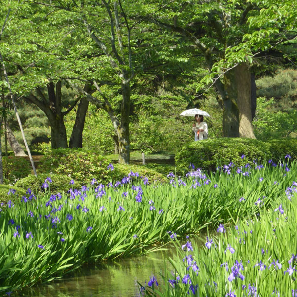 khu vườn Kenrokuen (Kanazawa, Nhật Bản)