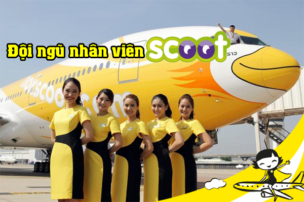 Đăng ký làm đại lý cấp 2 hãng Scoot Air tại Việt Nam