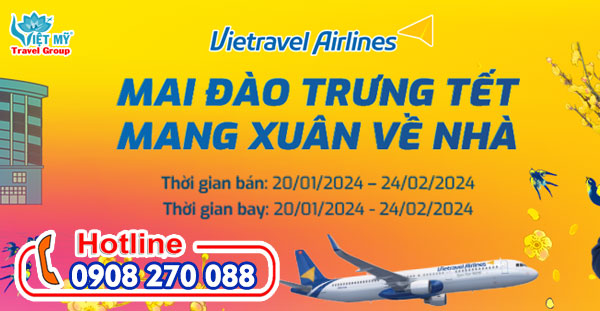 Vietravel Airlines nhận vận chuyển mai đào Tết 2024