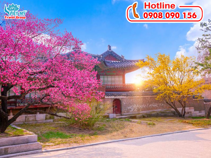 Tuyển đại lý bán vé máy bay Phú Quốc đi Busan Hàn Quốc 2 Đăng ký làm đại lý bán vé máy bay Phú Quốc đi Busan Hàn Quốc