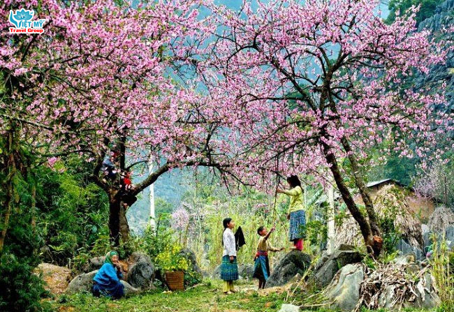 Vẻ đẹp thiên nhiên & Lễ hội tại Điện Biên mùa này